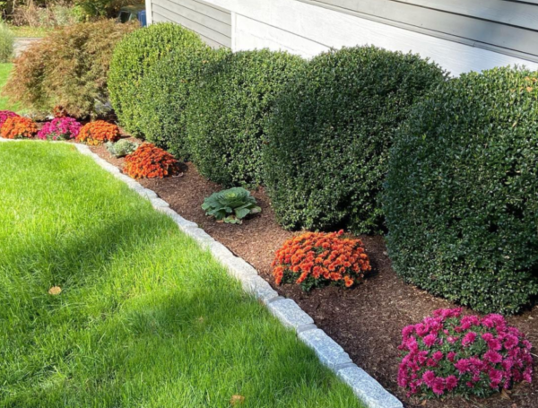 Complete Landscaping & Mulching